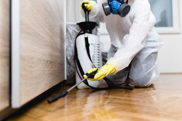 Best Pest Control Near Me in Clarksville, AR