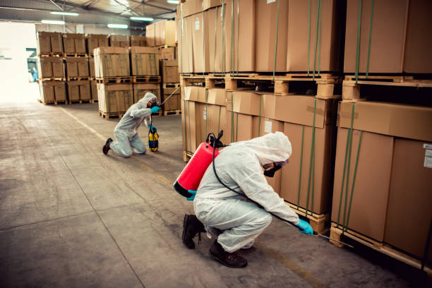 Best Emergency Pest Control  in Clksville, AR