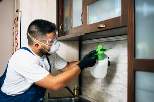 Best Pest Inspection Near Me  in Clksville, AR