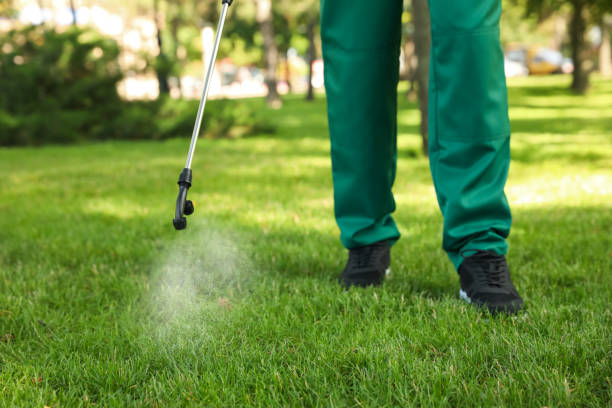 Trusted Clarksville, AR Pest Control Experts
