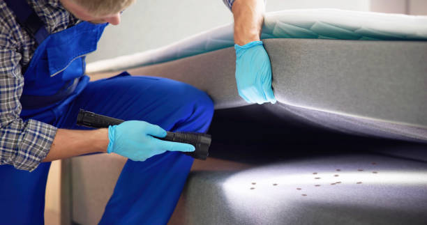 Best Pest Control Treatment  in Clksville, AR