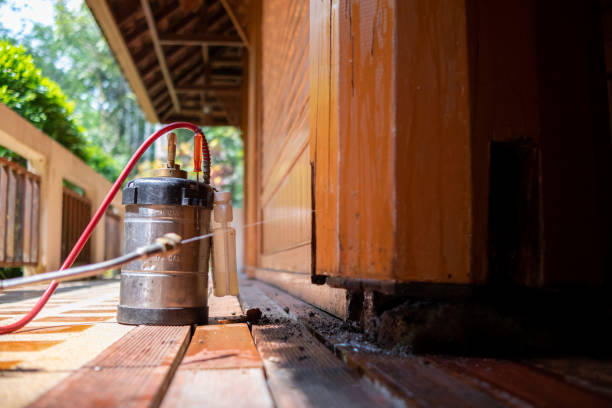 Best Cockroach Control Services  in Clksville, AR